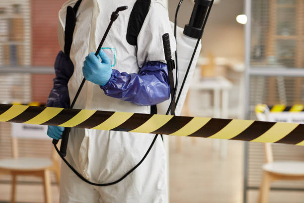 Professional Sewage Cleanup technician working in Blair, NE
